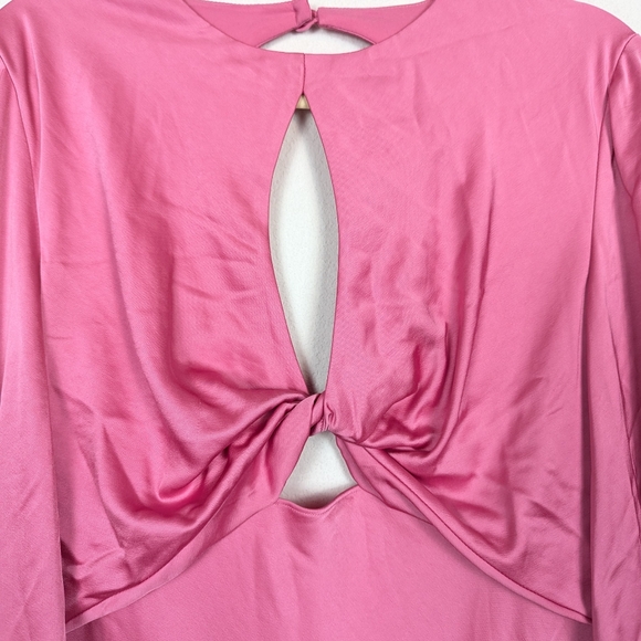 NWT Significant Other Medium Pink Demi Backless Long-Sleeve Column Gown - Picture 6 of 10